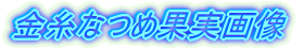 Ȃ߉ʎ摜