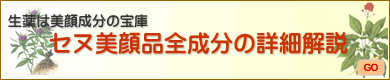 成分詳細解説